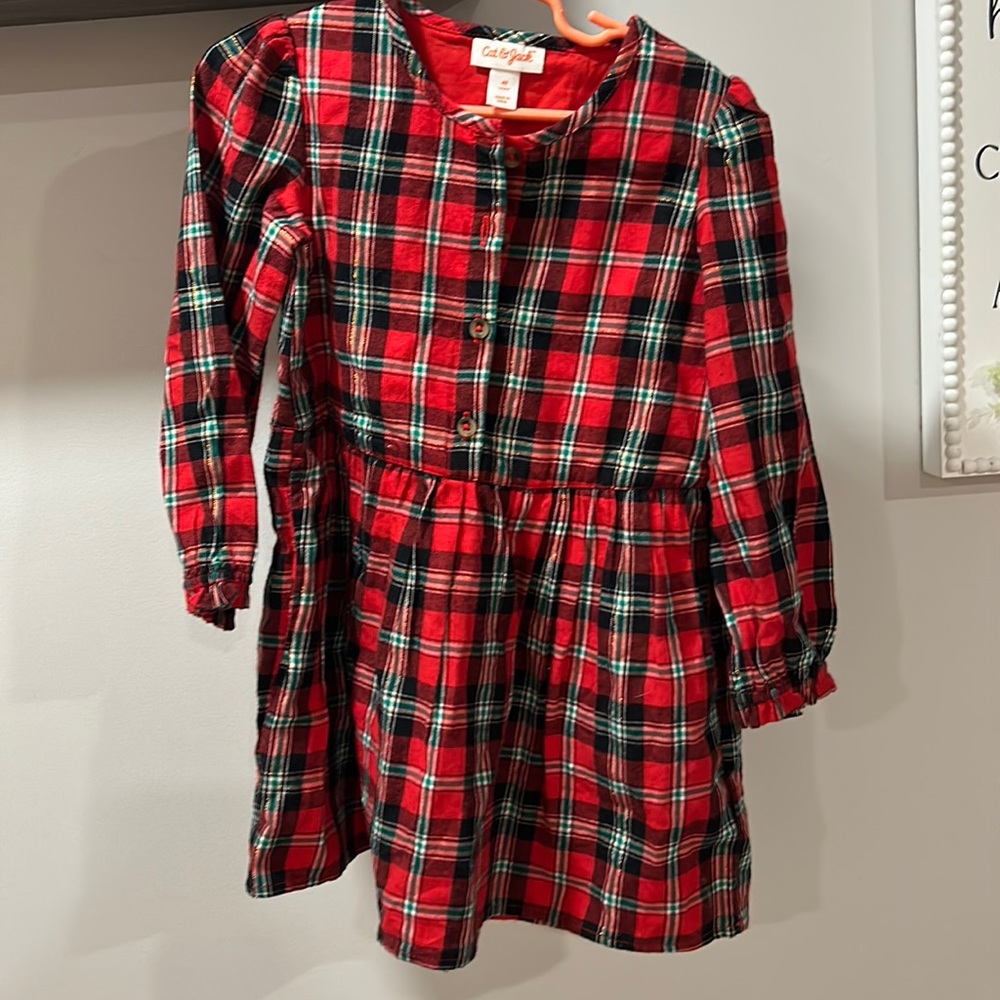 Holiday picture dress